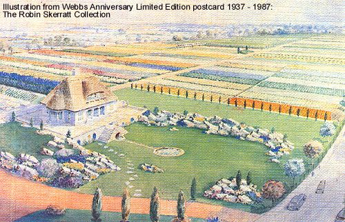 Webbs Anniversary postcard - the Robin Skerratt collection Webbs Anniversary postcard - the Robin Skerratt collection