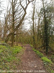 Piper's Hill